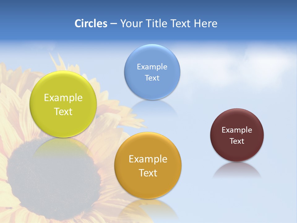 Spring Colour Sunflower PowerPoint Template