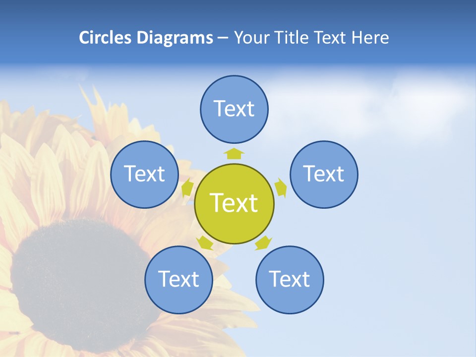 Spring Colour Sunflower PowerPoint Template