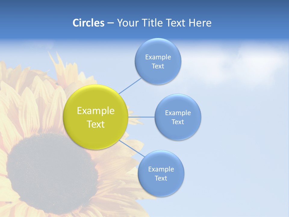 Spring Colour Sunflower PowerPoint Template