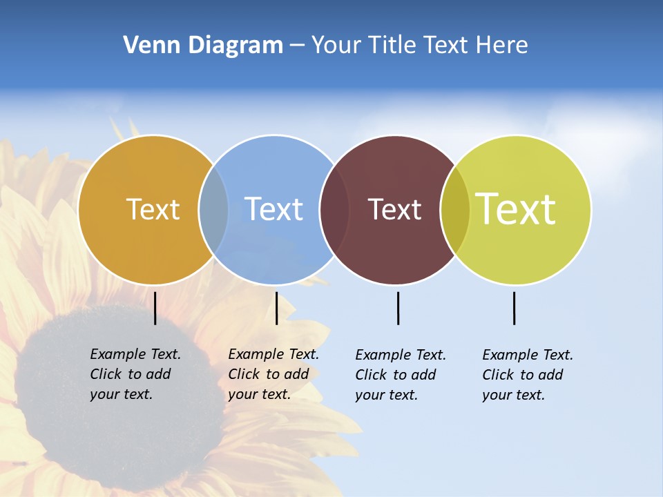 Spring Colour Sunflower PowerPoint Template