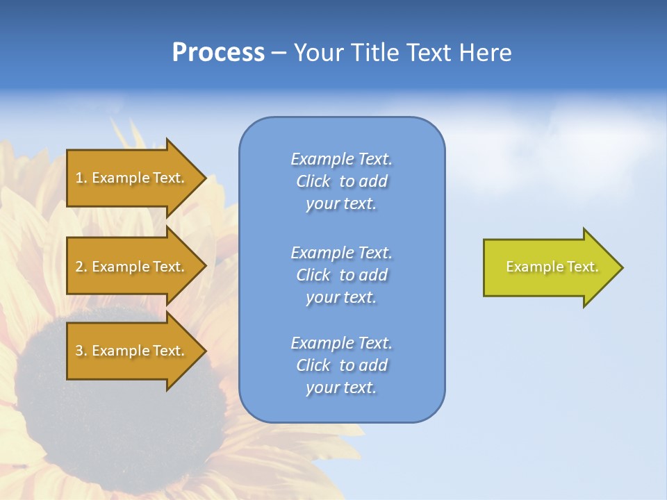 Spring Colour Sunflower PowerPoint Template