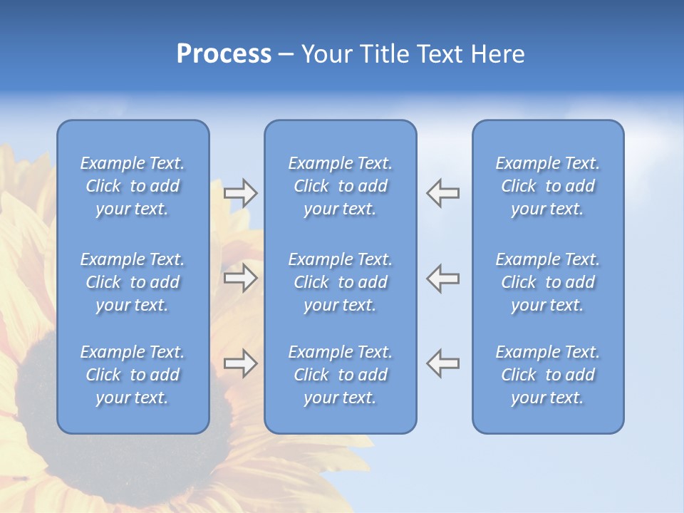 Spring Colour Sunflower PowerPoint Template