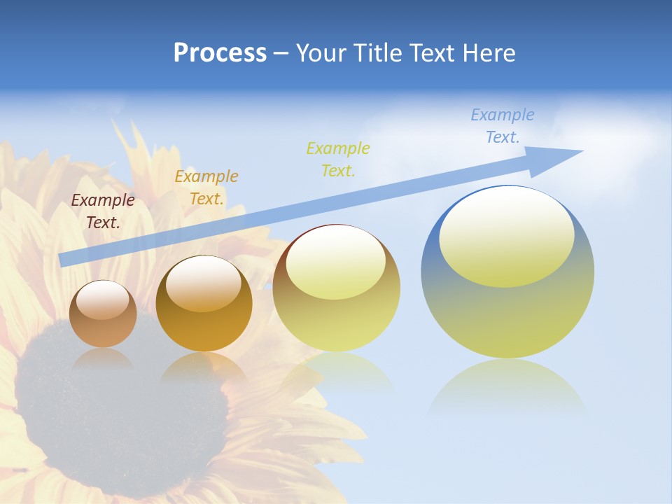 Spring Colour Sunflower PowerPoint Template