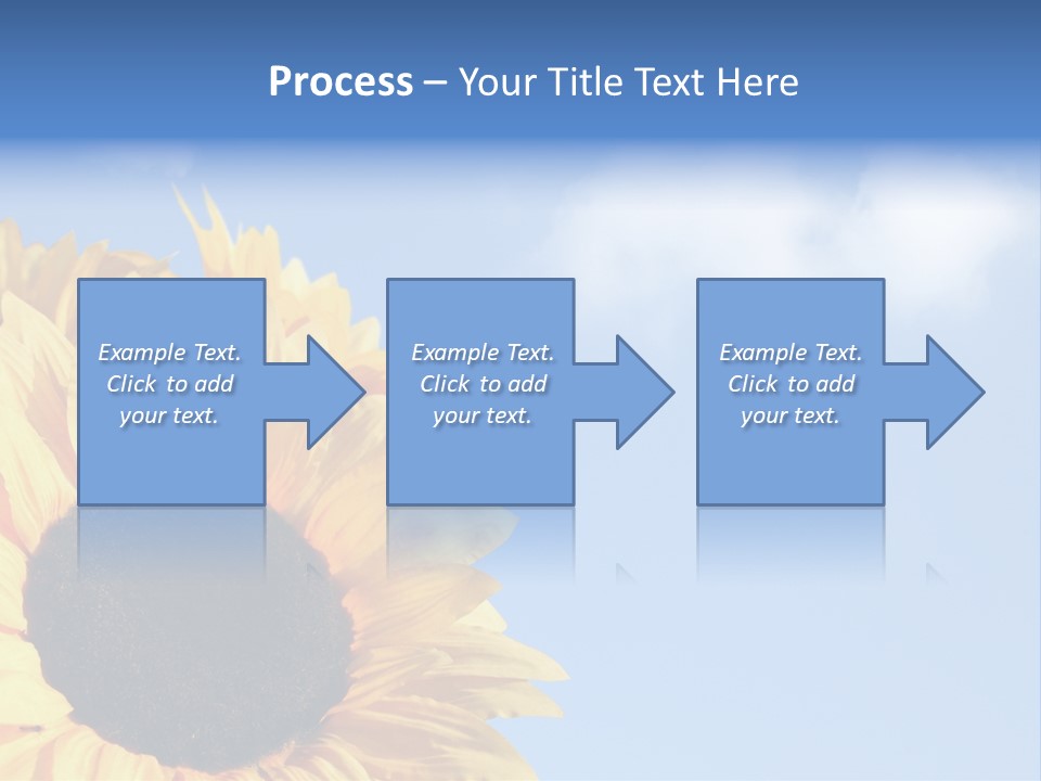 Spring Colour Sunflower PowerPoint Template