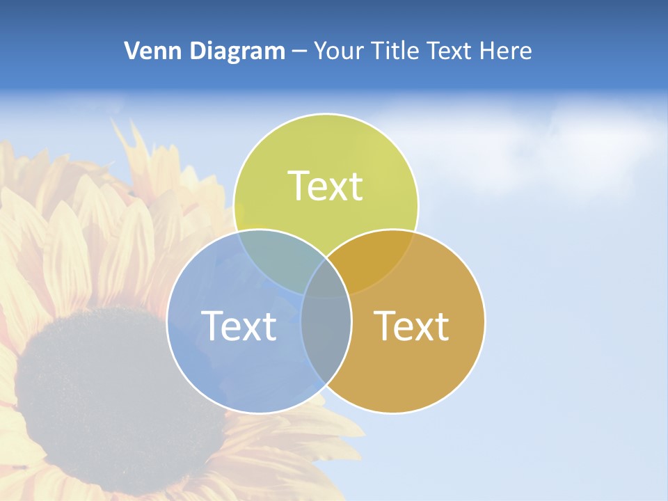 Spring Colour Sunflower PowerPoint Template