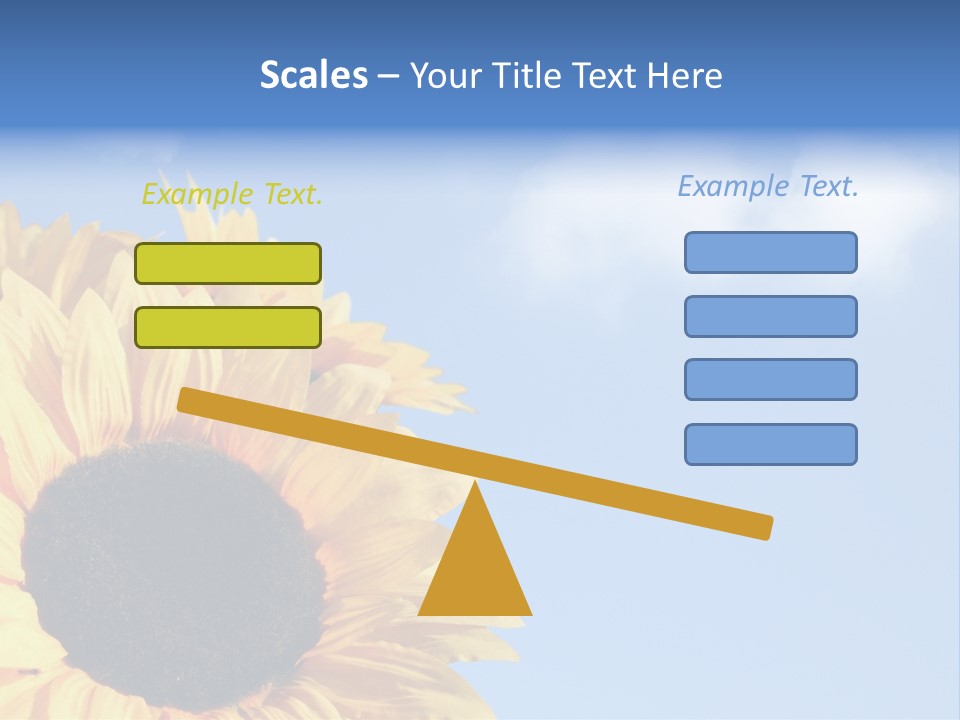 Spring Colour Sunflower PowerPoint Template