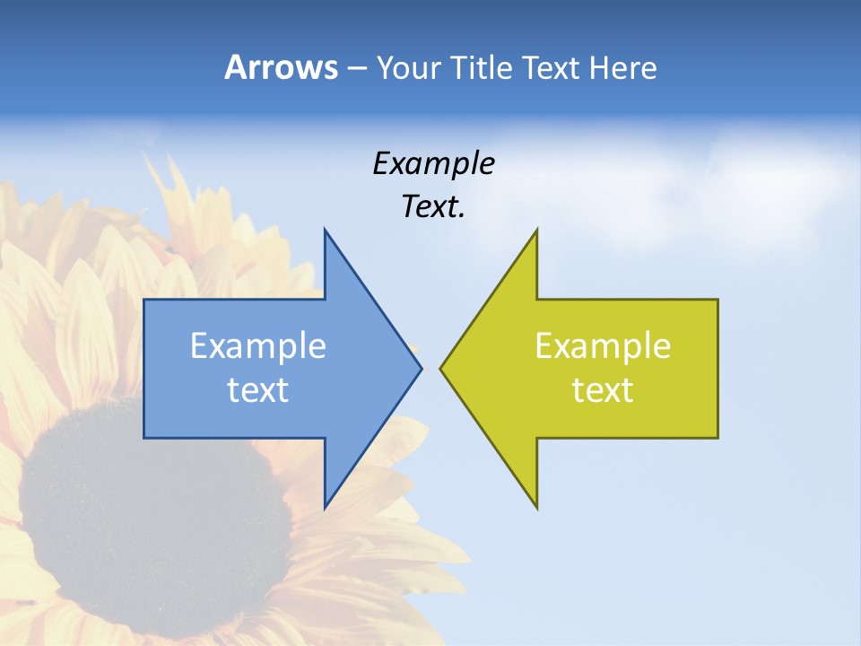 Spring Colour Sunflower PowerPoint Template