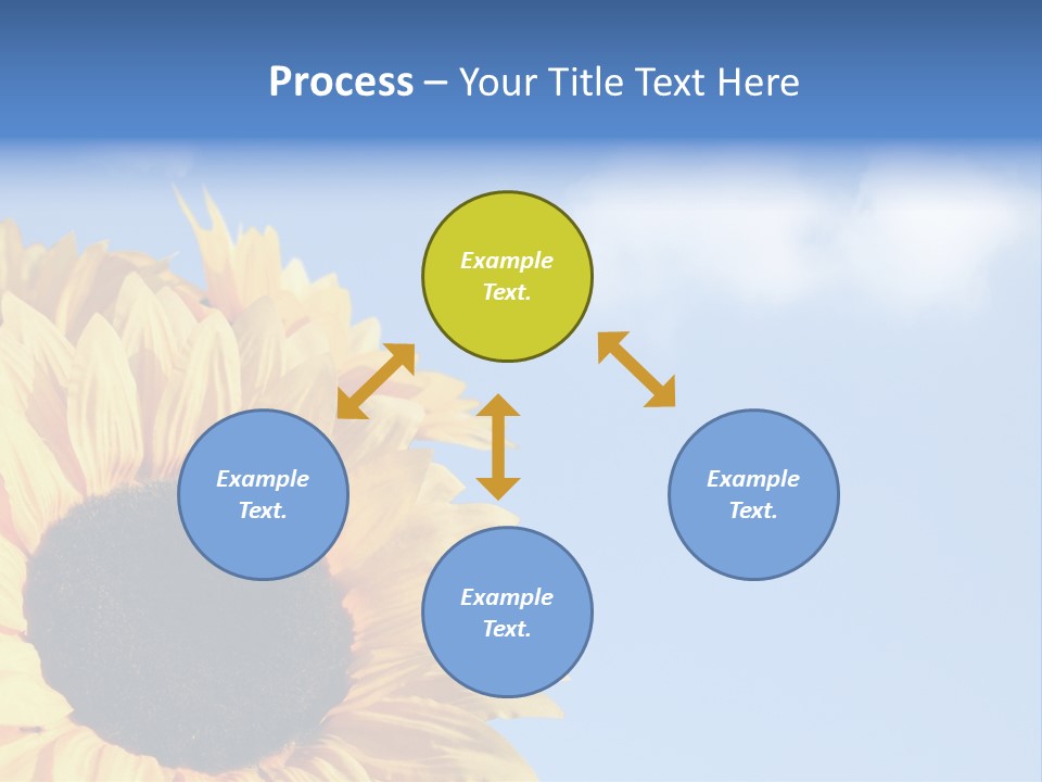 Spring Colour Sunflower PowerPoint Template