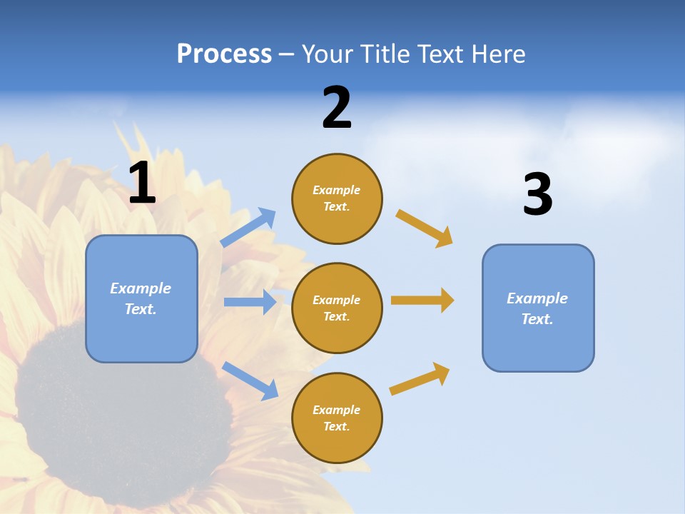 Spring Colour Sunflower PowerPoint Template