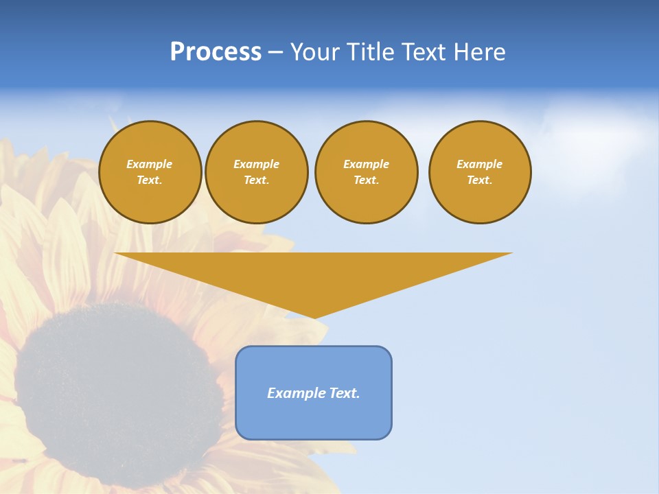 Spring Colour Sunflower PowerPoint Template