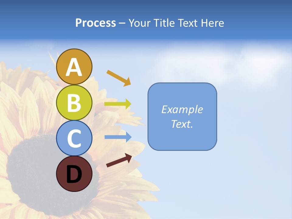 Spring Colour Sunflower PowerPoint Template