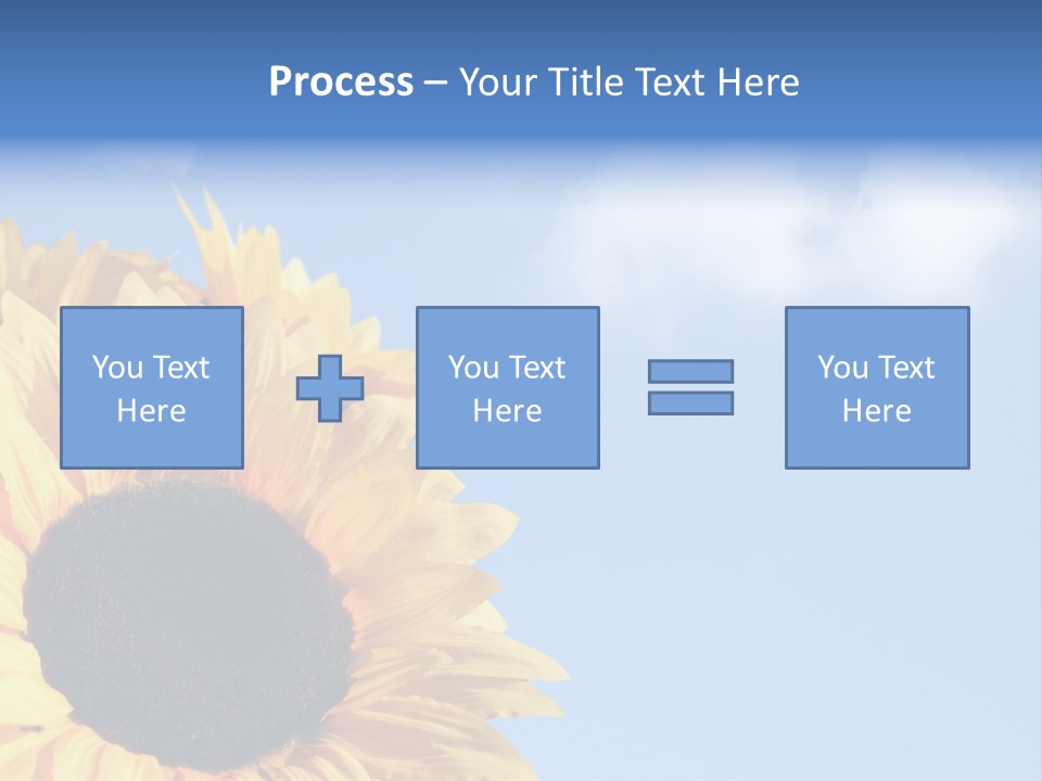 Spring Colour Sunflower PowerPoint Template