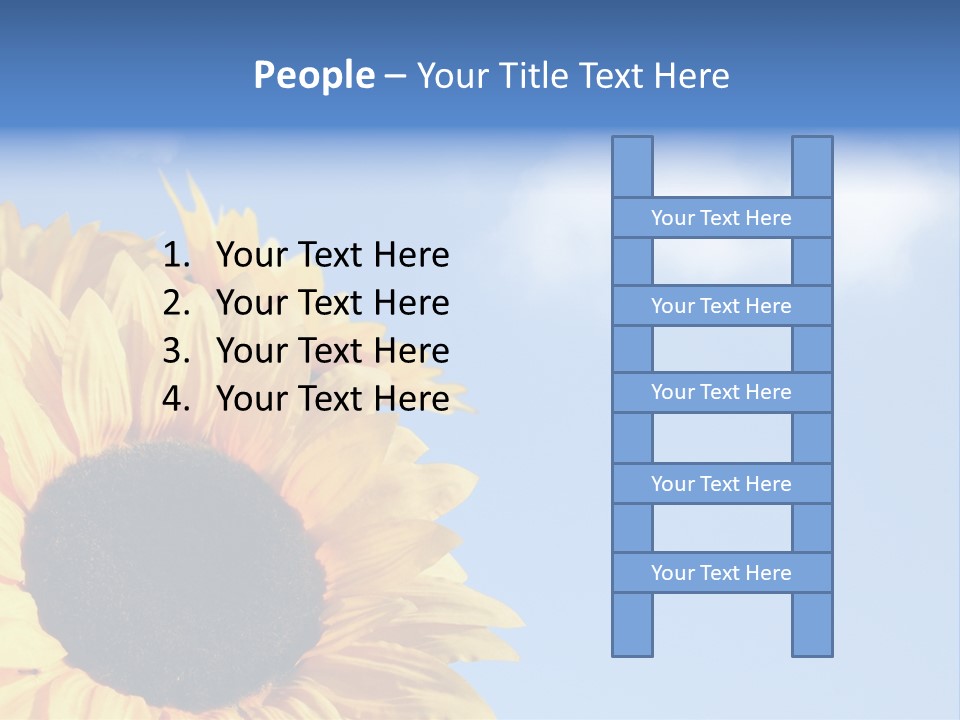 Spring Colour Sunflower PowerPoint Template