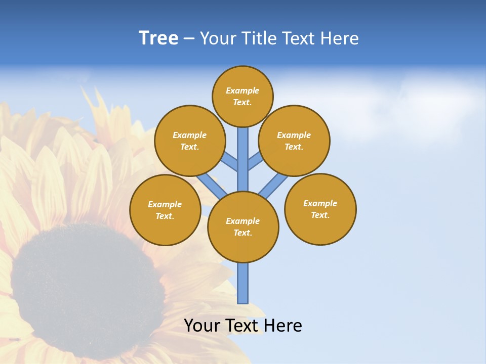 Spring Colour Sunflower PowerPoint Template