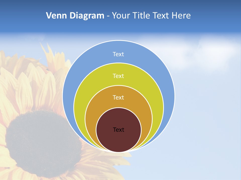 Spring Colour Sunflower PowerPoint Template