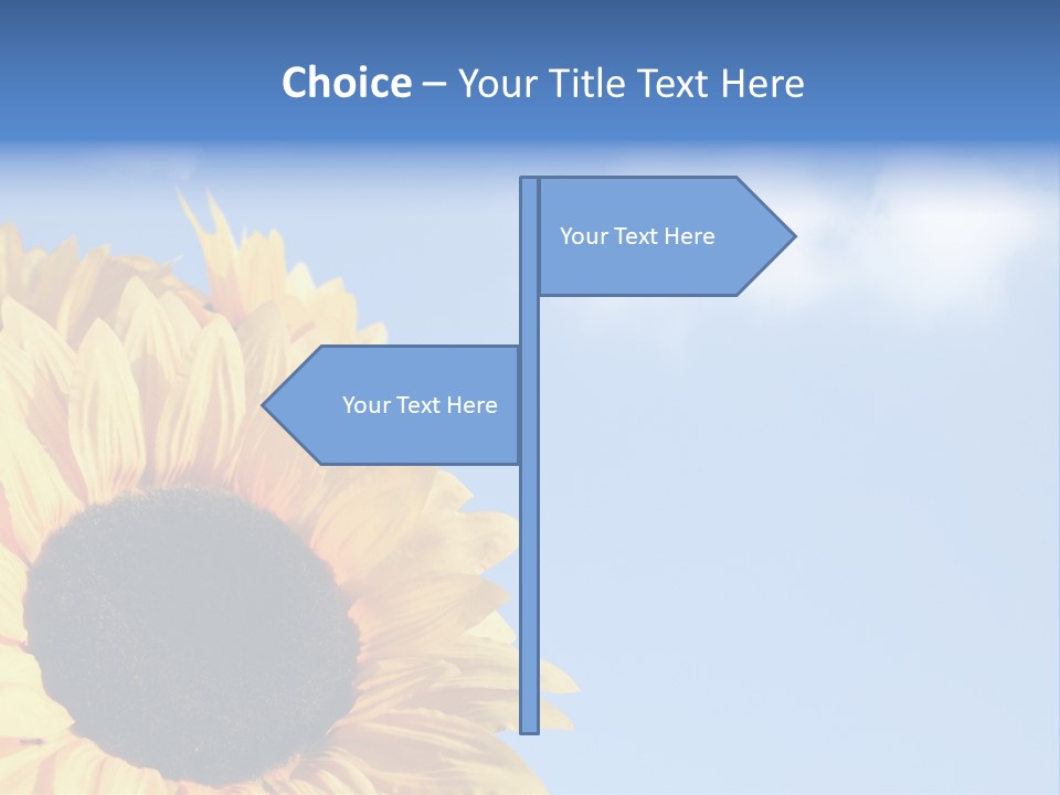 Spring Colour Sunflower PowerPoint Template