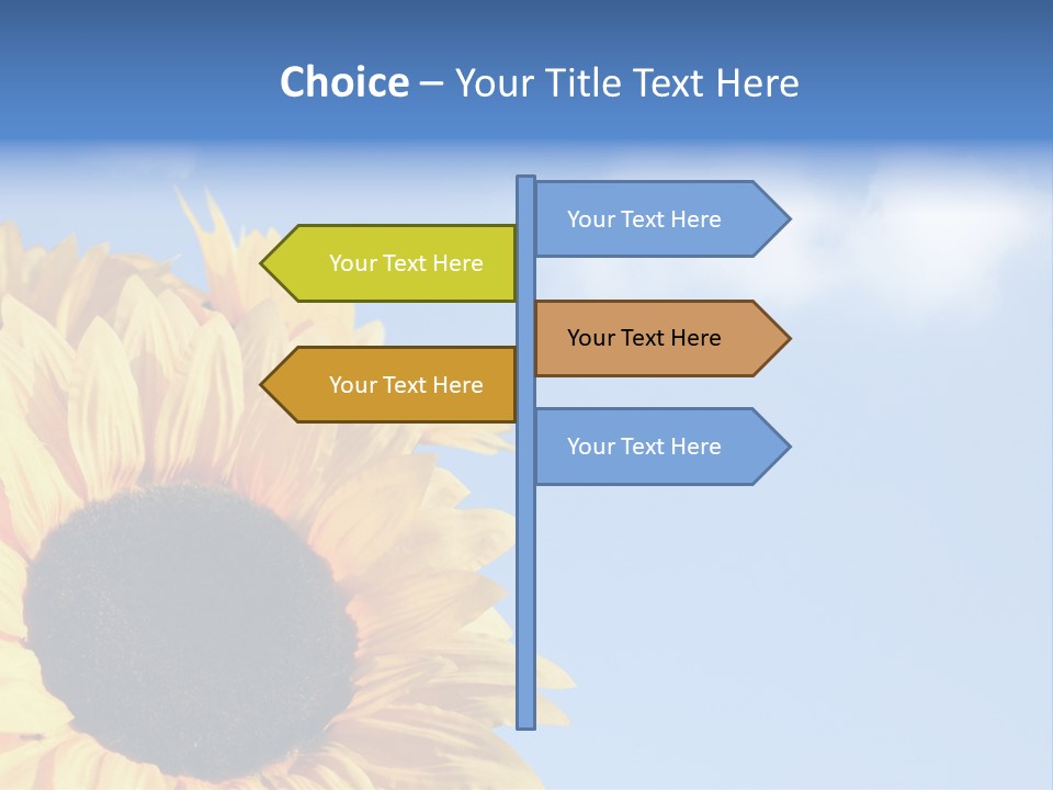 Spring Colour Sunflower PowerPoint Template