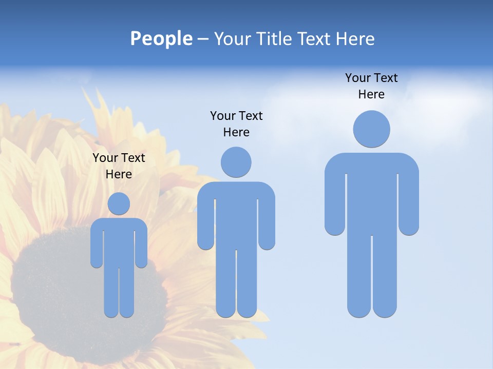 Spring Colour Sunflower PowerPoint Template