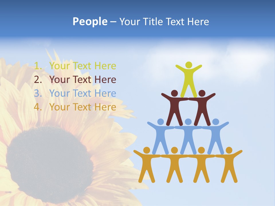 Spring Colour Sunflower PowerPoint Template