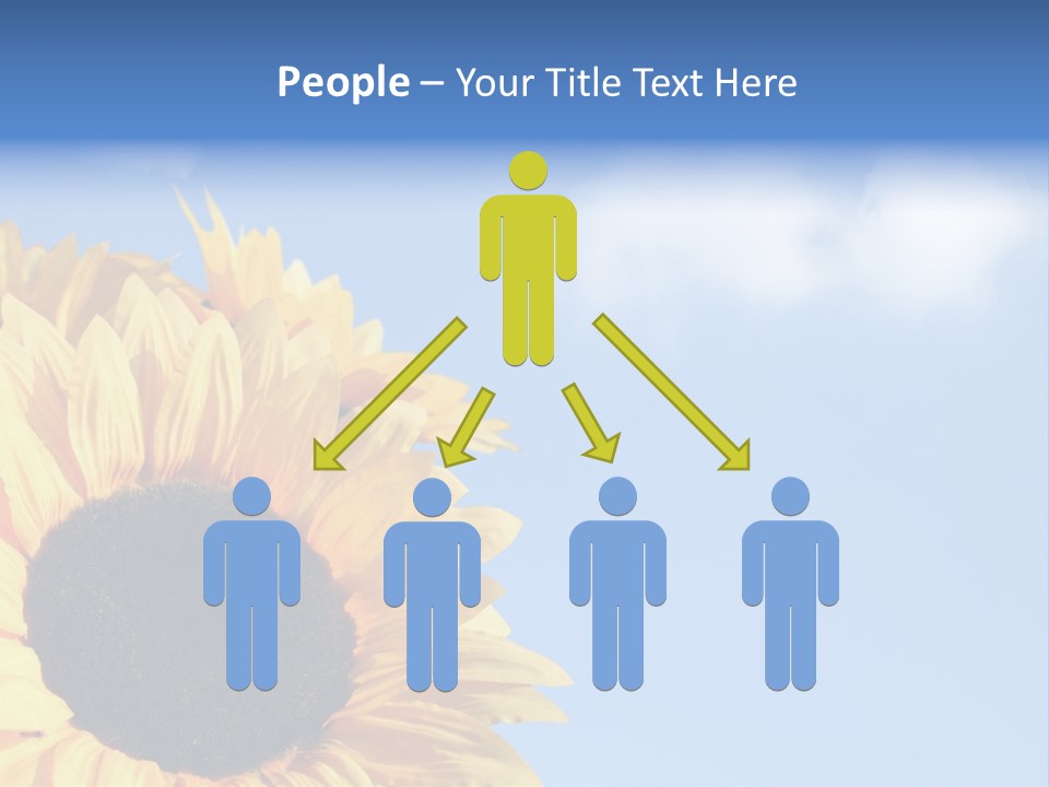 Spring Colour Sunflower PowerPoint Template