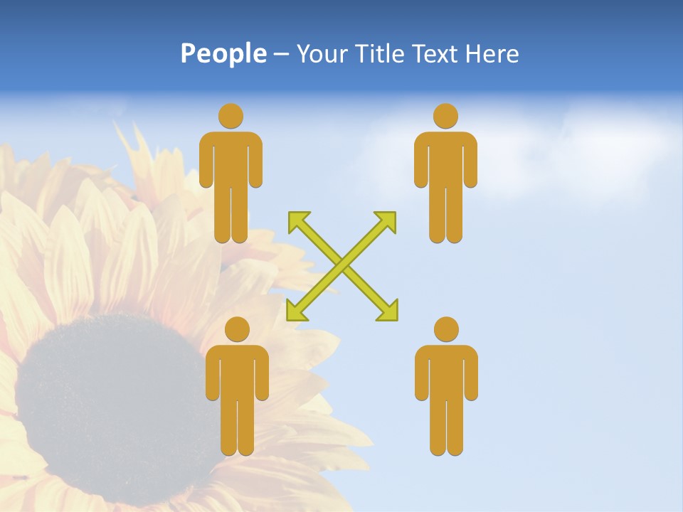 Spring Colour Sunflower PowerPoint Template