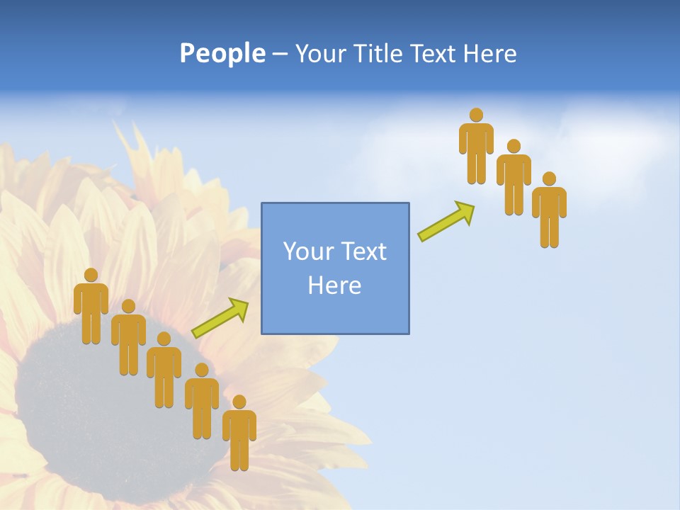 Spring Colour Sunflower PowerPoint Template