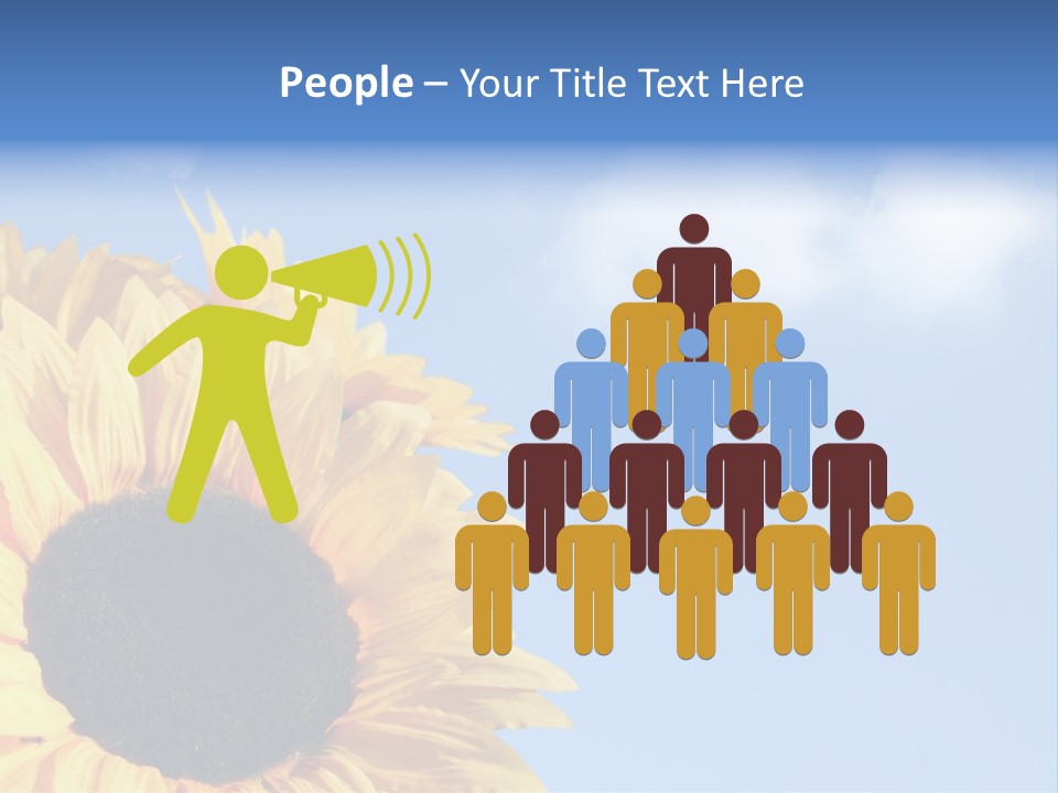 Spring Colour Sunflower PowerPoint Template