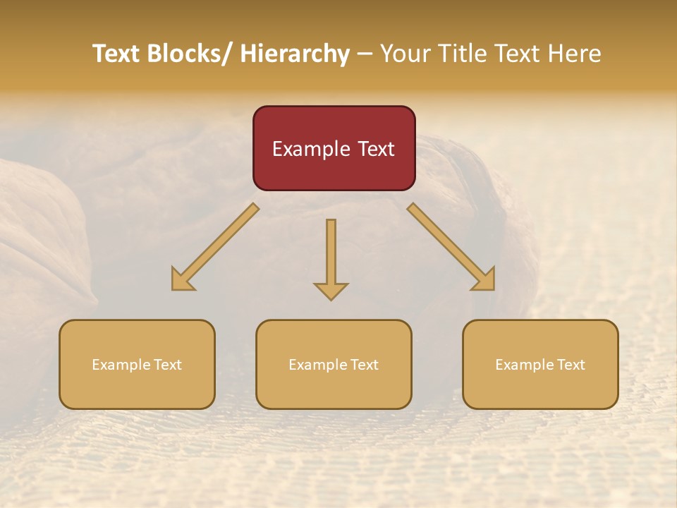 Nutty Nature Fruit PowerPoint Template
