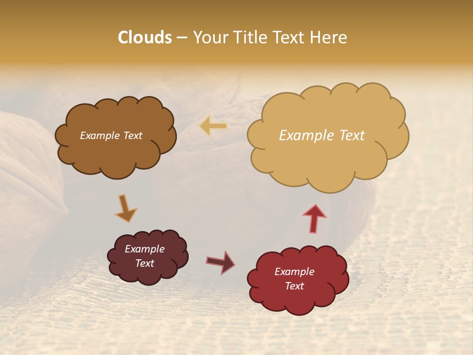 Nutty Nature Fruit PowerPoint Template