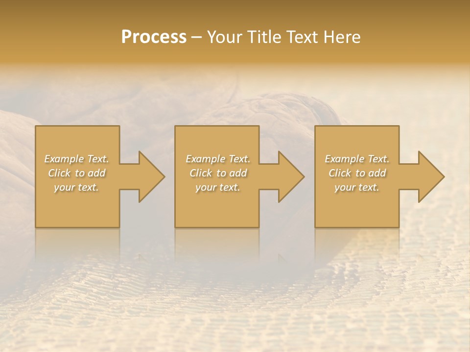 Nutty Nature Fruit PowerPoint Template