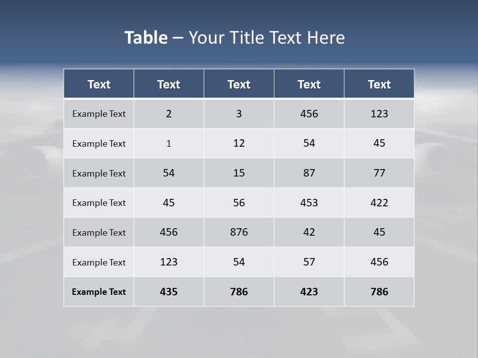 Fly Airport Holiday PowerPoint Template