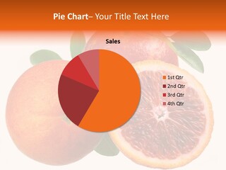 Branch Colour Grade PowerPoint Template