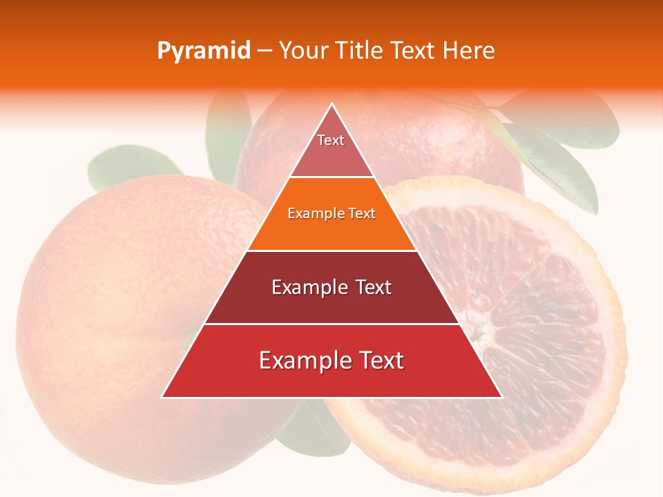 Branch Colour Grade PowerPoint Template