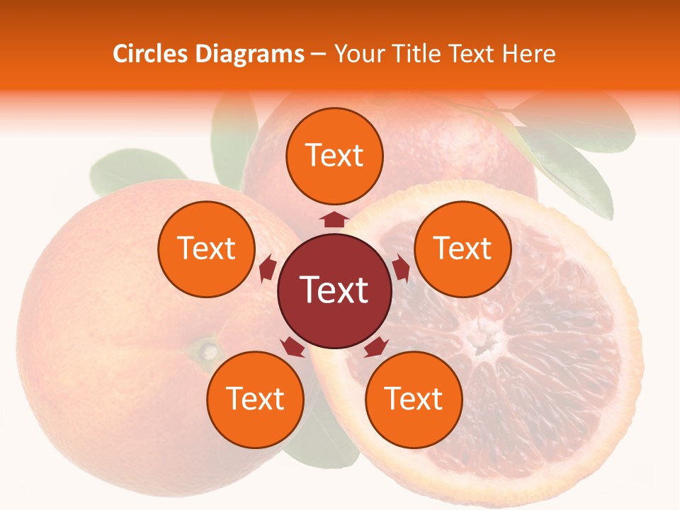 Branch Colour Grade PowerPoint Template