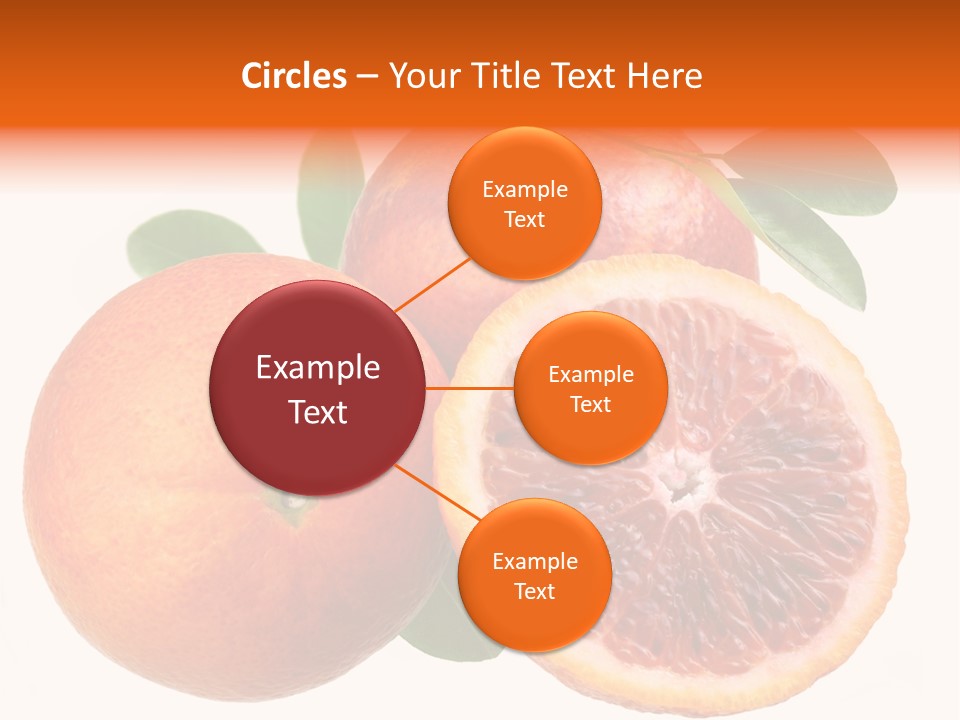 Branch Colour Grade PowerPoint Template