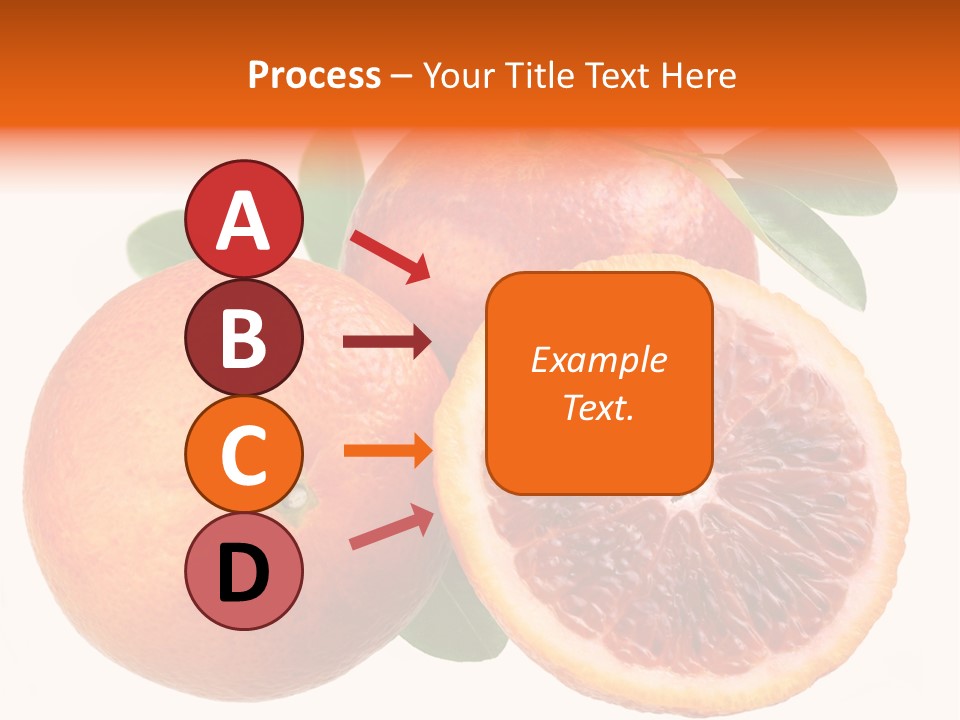 Branch Colour Grade PowerPoint Template