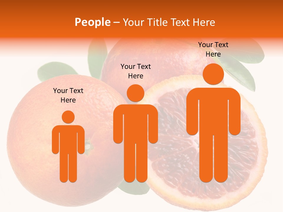 Branch Colour Grade PowerPoint Template