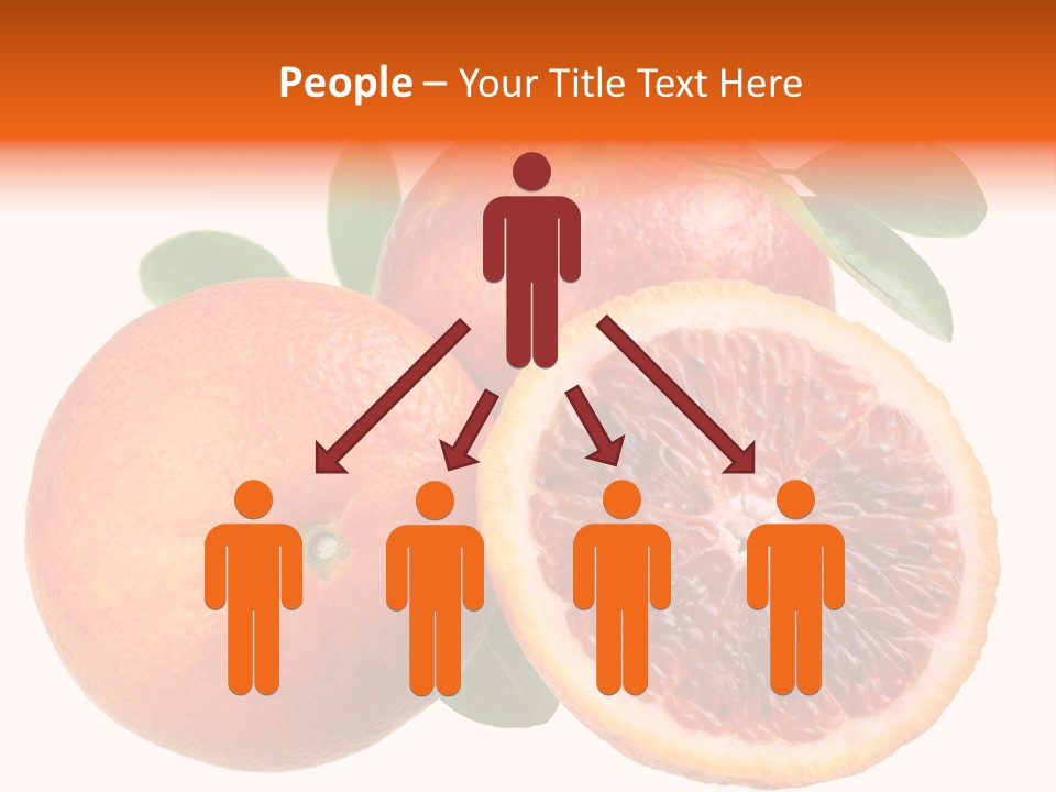 Branch Colour Grade PowerPoint Template