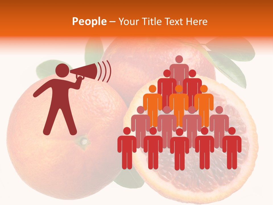 Branch Colour Grade PowerPoint Template