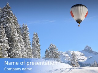 Fir Sky Exotic PowerPoint Template