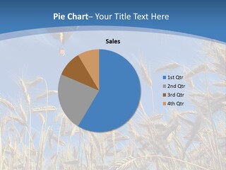 Float Destination Countryside PowerPoint Template