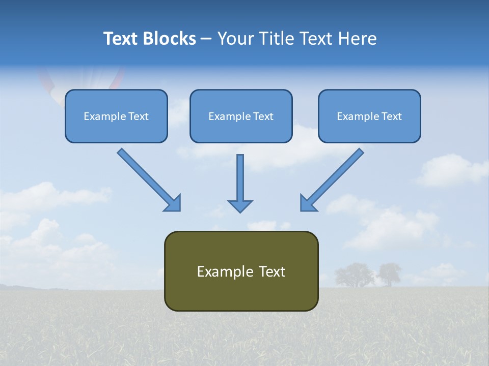 Time Corn Rise PowerPoint Template