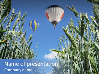 Aviation Fly Season PowerPoint Template