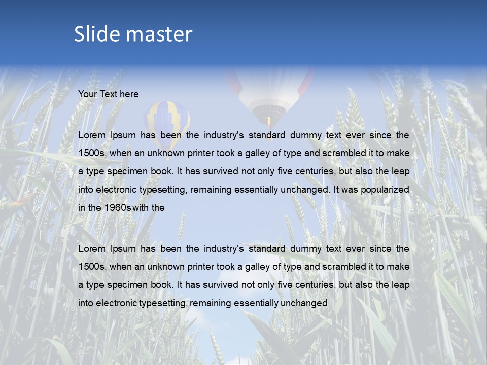 Aviation Fly Season PowerPoint Template