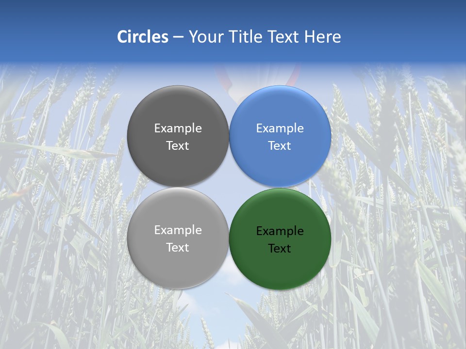 Aviation Fly Season PowerPoint Template