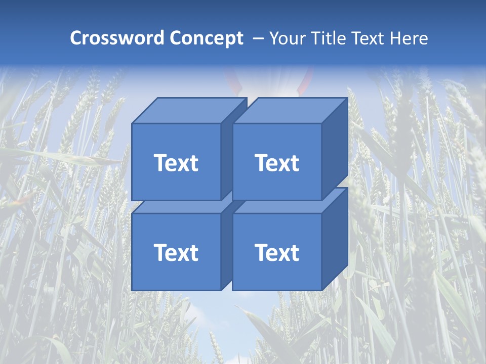Aviation Fly Season PowerPoint Template