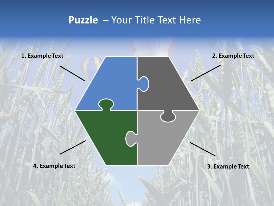 Aviation Fly Season PowerPoint Template