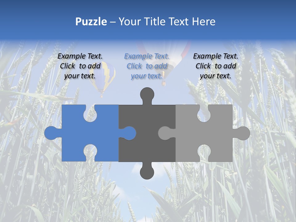 Aviation Fly Season PowerPoint Template