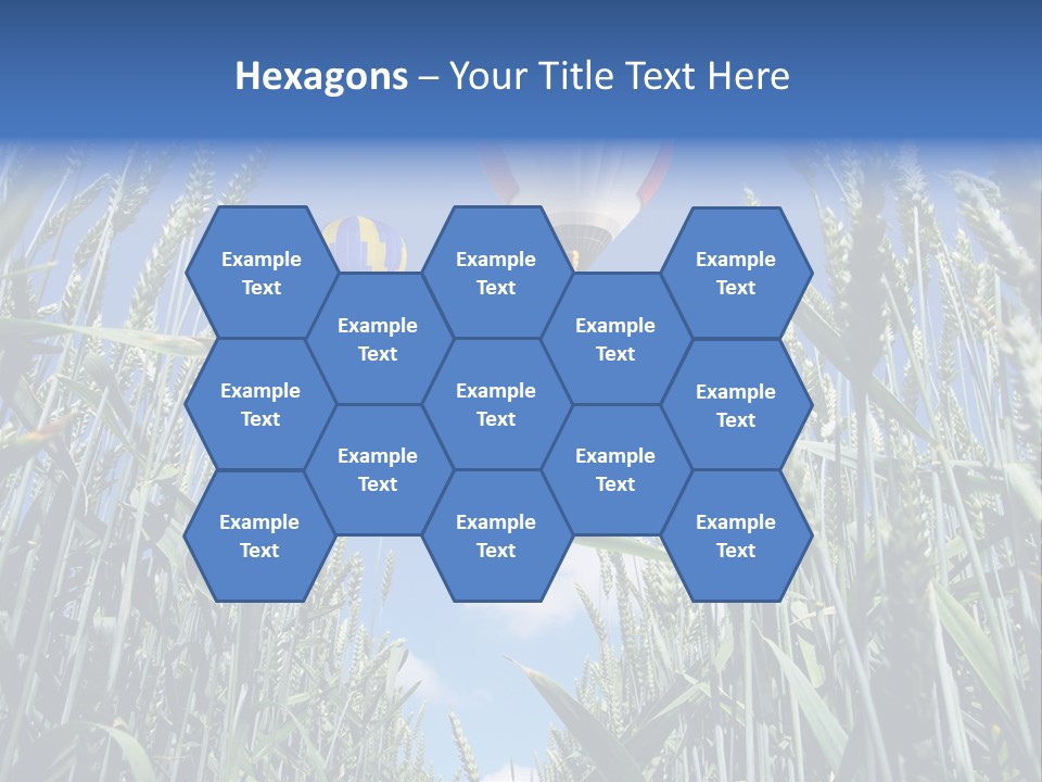 Aviation Fly Season PowerPoint Template