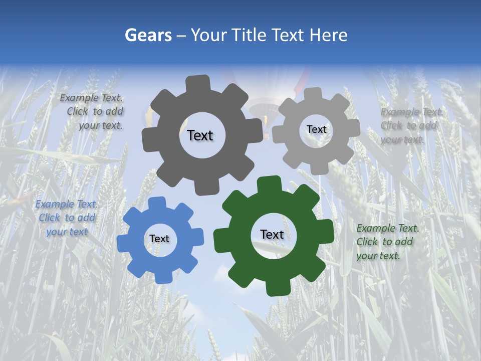 Aviation Fly Season PowerPoint Template